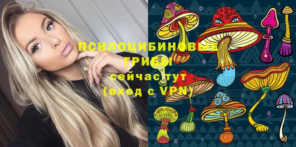 эйфоретик Горняк