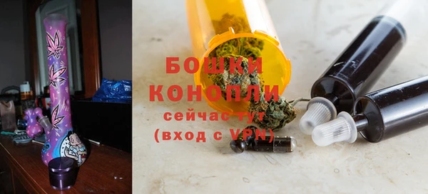 эйфоретик Горняк