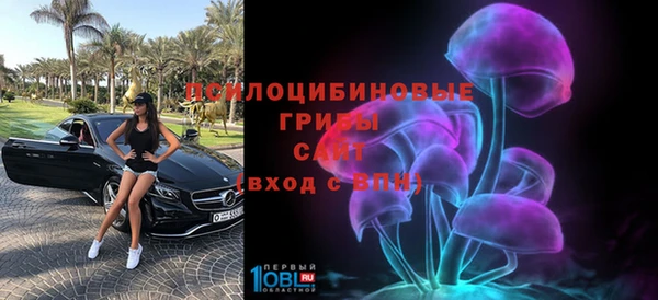 эйфоретик Горняк