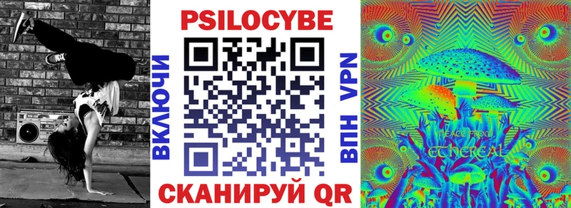 Купить закладки  Новоузенск  Псилоцибиновые грибы Psilocybe 
